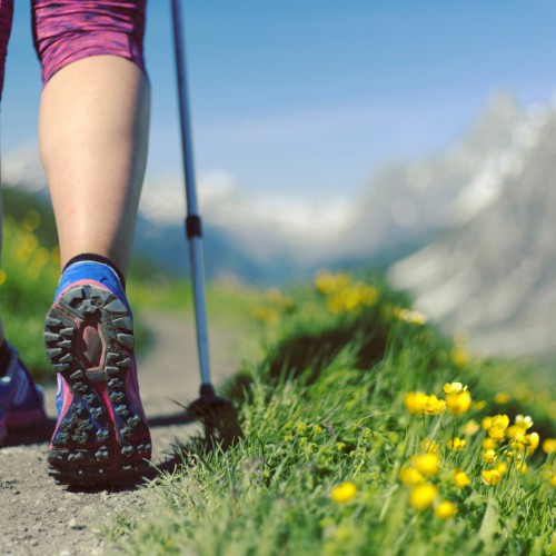 Wandelschoenen