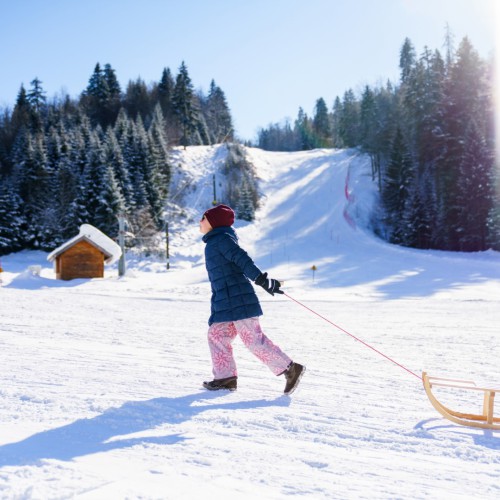 Rodelen en sleeën