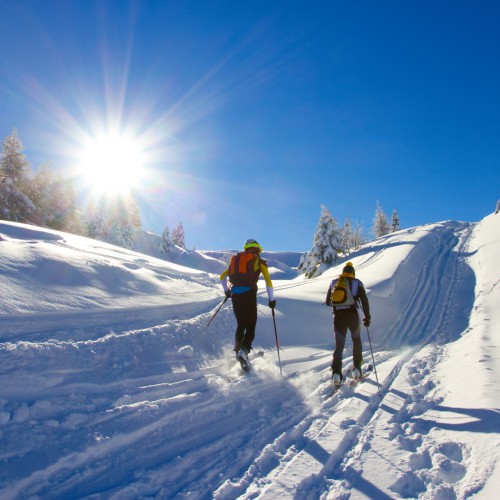 Langlaufen in de winter