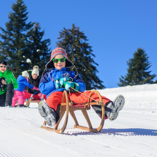 Kinderen rodelen